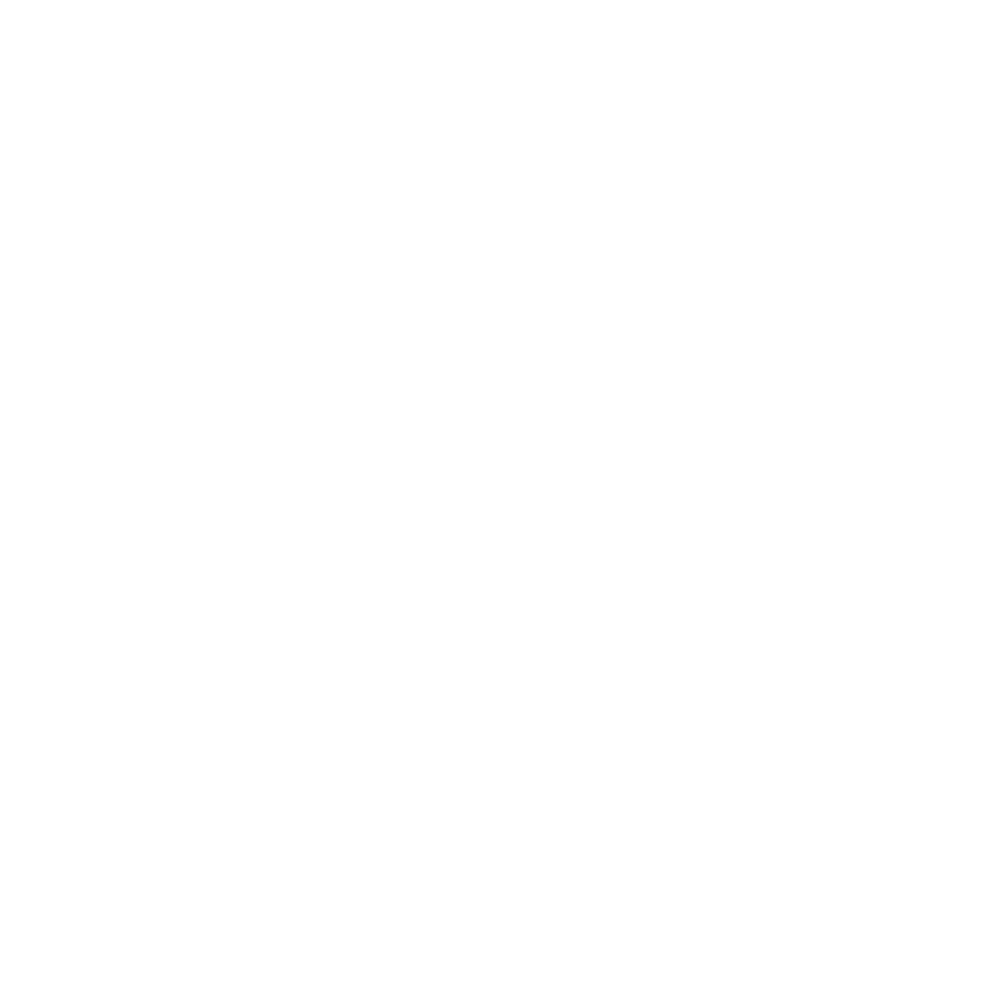 Flair Logo